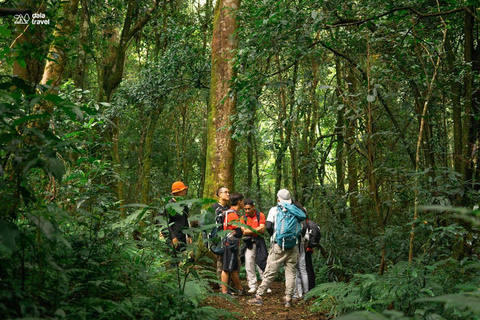 Da Lat: Langbiang Mountain Guided Trek with Lunch & Pickup