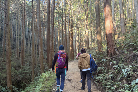 Shinrin-yoku/Forest Bathing in Yoshino