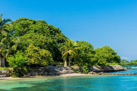 Cartagena: Rosario Oceanarium, Snorkel & Swim with Dolphins Cartagena: Rosario Islands Tour with Oceanarium & Snorkeling