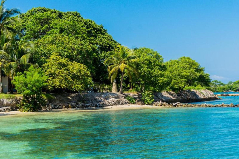 Cartagena: Rosario Oceanarium, Snorkel & Swim with Dolphins Cartagena: Rosario Islands Tour with Oceanarium & Snorkeling