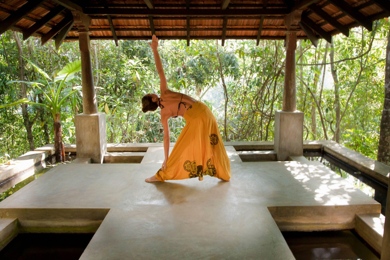 Kathmandu: Full-Day Ayurvedic Wellness Experience