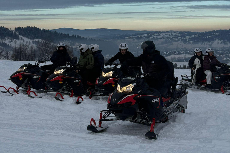 Zakopane Snowmobile, Quad or Buggy Ride & Treetop Skywalk Snowmobile, Quad or Buggy Ride & Skywalk (No Rental)