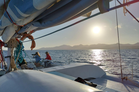 Lanzarote Sonnenuntergangserlebnis mit Delphinbeobachtung