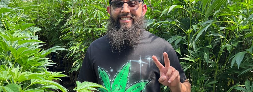 Comté de Humboldt : visite d'une ferme de cannabis et d'un dispensaire