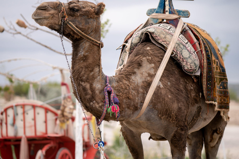 Excursie Cappadocië: Dagvullende tour in het zuiden inclusief ticketsTour in kleine groep - Tickets inbegrepen