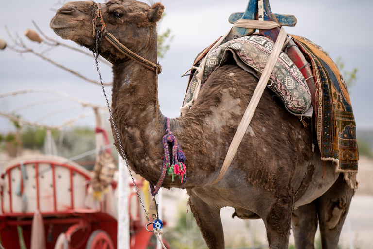 Escursione in Cappadocia: Tour di un giorno intero verso sud con biglietti inclusiTour per piccoli gruppi - Biglietti inclusi