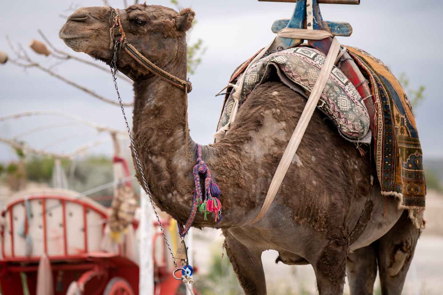 Каппадокия: Полный День Южного Тура с Билетами