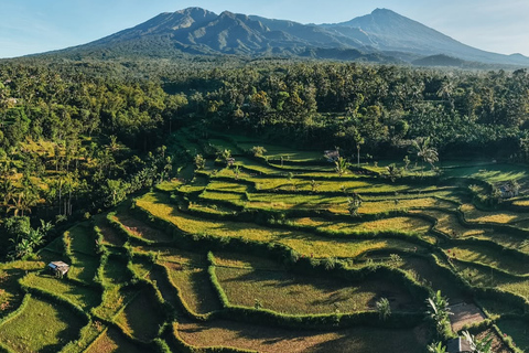 Tetebatu Waterfalls, Rice Terraces & Monkey Forest Day trip