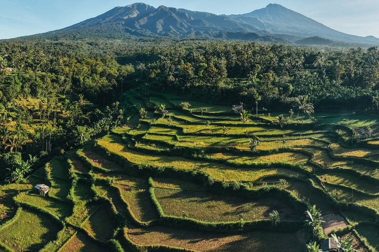 Tetebatu Waterfalls, Rice Terraces & Monkey Forest Day trip