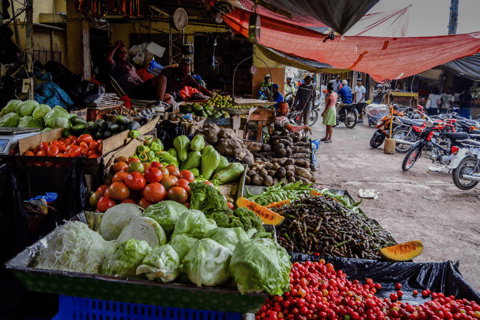Punta Cana: Higüey Private Tour with Macao Beach Stop