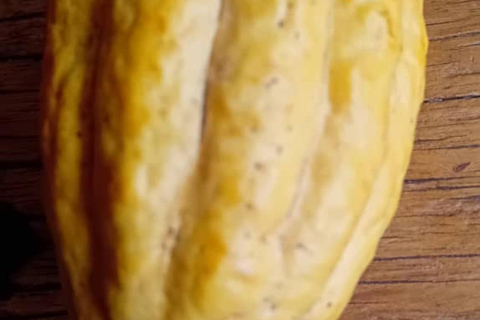 Kampala: Praktische SchokoladenherstellungKampala: Schokolade selbst machen