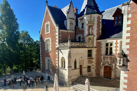 Private 3 Loire Castles Live Guided trip from Paris Private Live Guided Trip