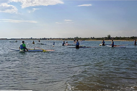 Thessalonique : Leçon privée de planche à voile avec un expertThessalonique - Cours de planche à voile