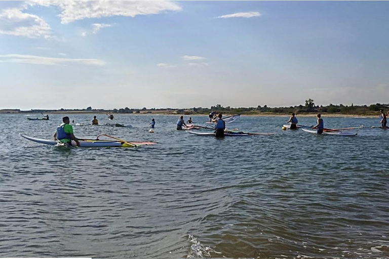 Salonicco: Lezione privata di windsurf con un espertoSalonicco - Lezioni di windsurf