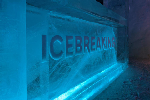 Day ticket to exhibitions in the Snow Castle area