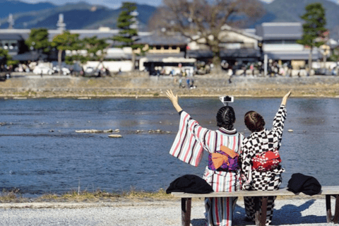 Tokio: Dostosuj jednodniową wycieczkę z kierowcą mówiącym po angielsku