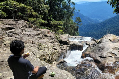 Parc national de Bach Ma : Randonnée d'une journée visite privée - Hoi An/DaNangVisite privée au départ de Hoi An/ Da Nang