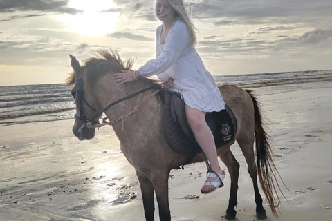 Punta Cana: Private Buggy, Horseback, Zipline & Catamaran