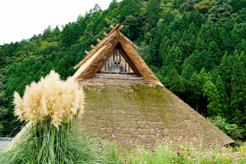 Kyoto/Osaka: Amanohashidate & Ine Funaya & Miyama Day Tour Cable Car & Ine Bay Cruise Excluded | Osaka 7:30AM