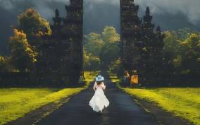 Ubud: Best of Ubud Highlights Private Day Tour