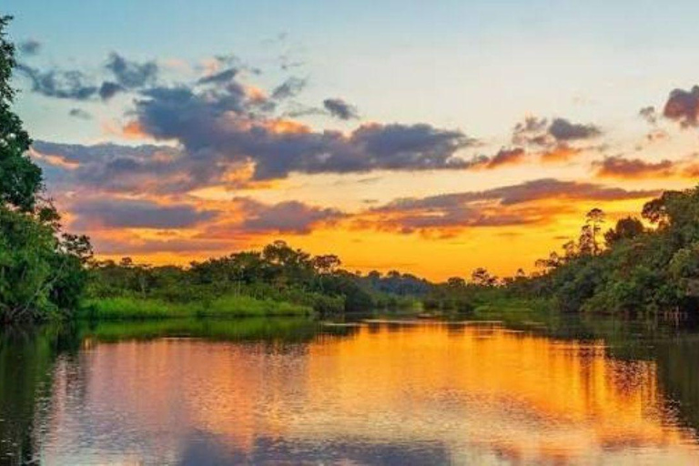 Manu: Amazon Jungle Wildlife & Macaw Clay Lick Tour