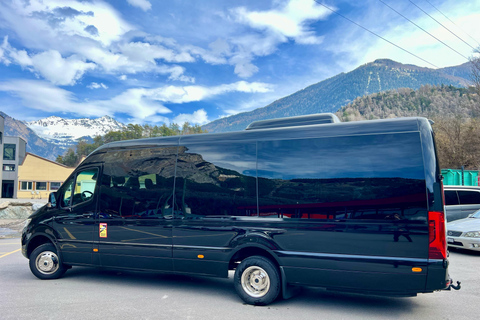 Genève: Gletsjer 3000 Tour met Alpine Coaster &amp; Gletsjerwandeling