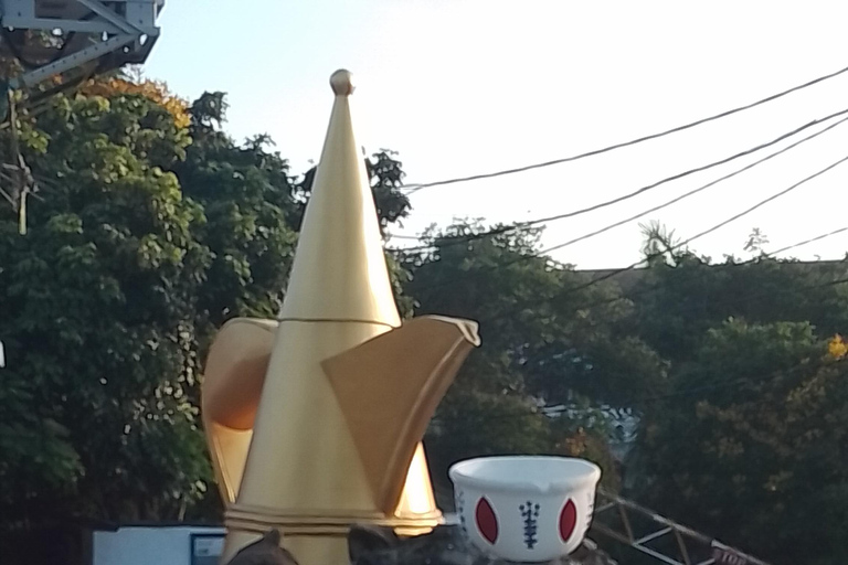 Mombasa: Private City Tour with street food and Haller Park