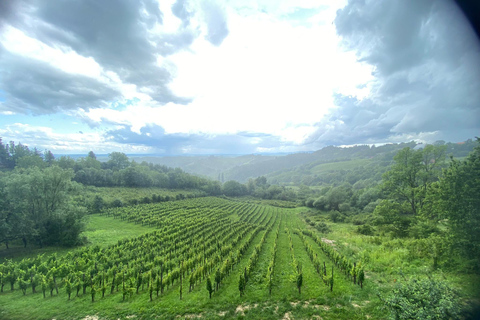 Zagreb: Excursión de un día a la cata de vinos de Hrastje Plešivičko