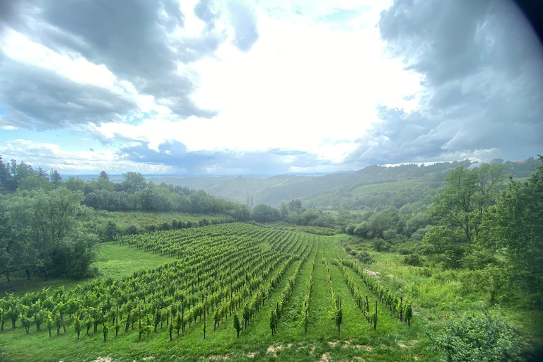 Zagabria: escursione con degustazione di vini Hrastje Plešivičko