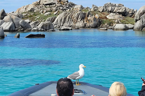 Santa-Giulia: Half-day trip, Lavezzi Islands and Bonifacio cliffs Santa-Giulia: Half-day trip to the sea, Lavezzi Islands and Bonifacio cliffs