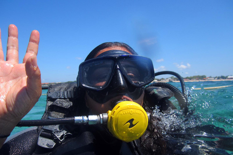 Bali: Scuba Diving For Beginner Experience