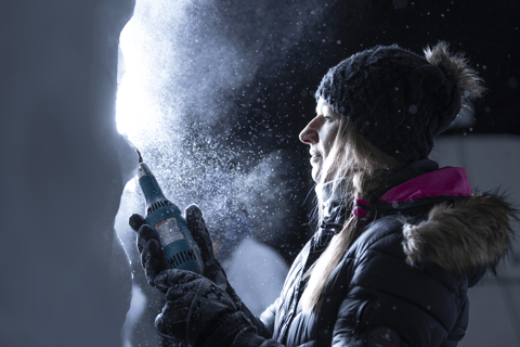 Biddinghuizen: Dutch Ice Sculpture Festival Entry Ticket