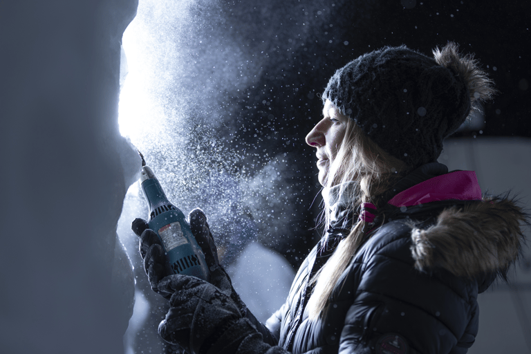 Biddinghuizen: Dutch Ice Sculpture Festival Entry Ticket