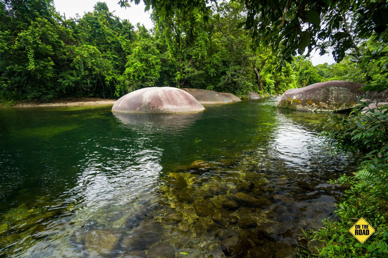 Paronella Park-dagtour