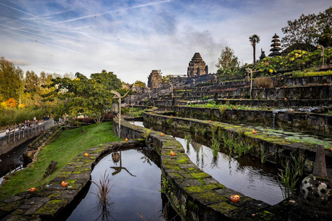 بروجليت تذكرة دخول حديقة حيوان بايري دايزاأيام الأسبوع