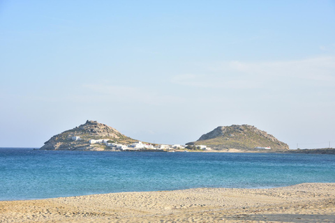 Visite d'une demi-journée sur l'île