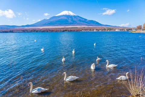 Wycieczka 1-dniowa: Góra Fuji + okolice jeziora Kawaguchi