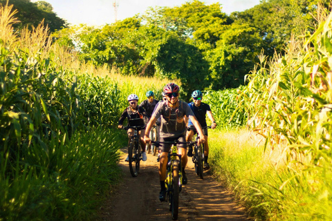 Mountain Bike Sightseeing Tour to the Salto de Malacatiupán