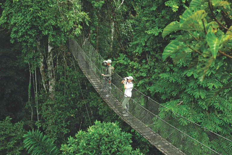 Puerto Maldonado: 3-Day Amazon Lodge Tour