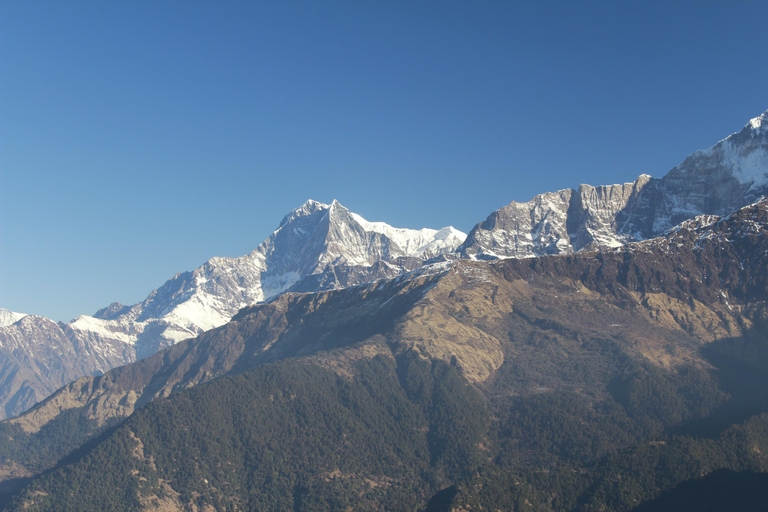 Från Pokhara Budget: 2 dagar 1 natt Ghorepani Poon Hill Trek