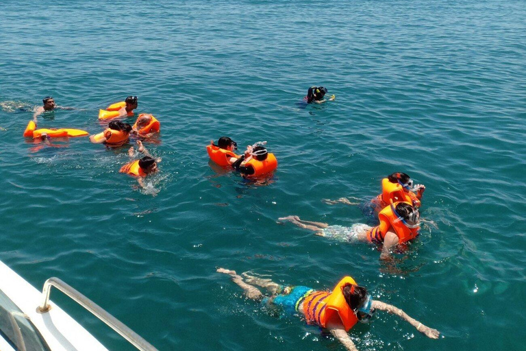 Hoi An/Da Nang: Cham Island Daily Tour with Snorkeling Pickup at hotel in Da Nang city center.