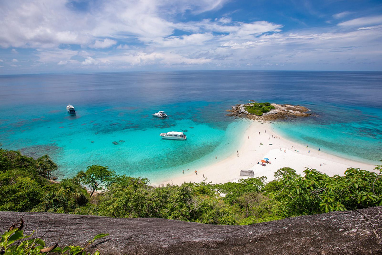 Phuket Dolfijn Zoektocht: Expeditie naar Racha &amp; Maiton eiland