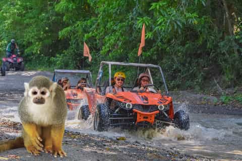 The best Sosúa Zoos & aquariums - 2026 (Verified Reviews)