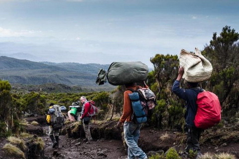Arusha: 7-Day Mount Kilimanjaro Machame Route Trek