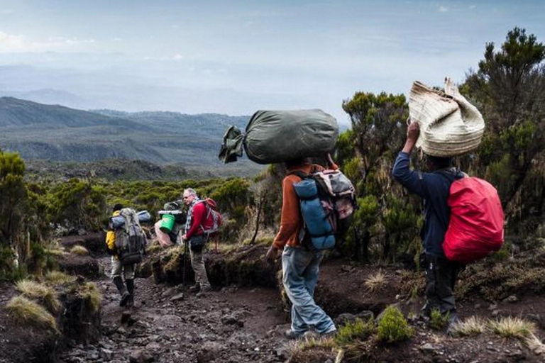 Arusha: 7-Day Mount Kilimanjaro Machame Route Trek