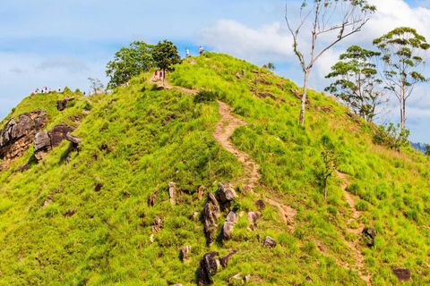 Sri Lanka: Viaje de Lujo de 6 días en Luna de Miel