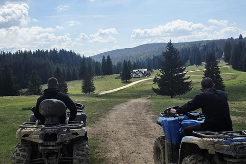 Poiana Brasov: Guided ATV Ride Through Mountain Forest