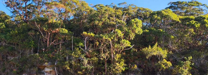 Circuit Sydney Woollongong et Kiama (privé)