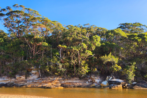 Au départ de Sydney : Parc national royal, Wollongong et Kiama