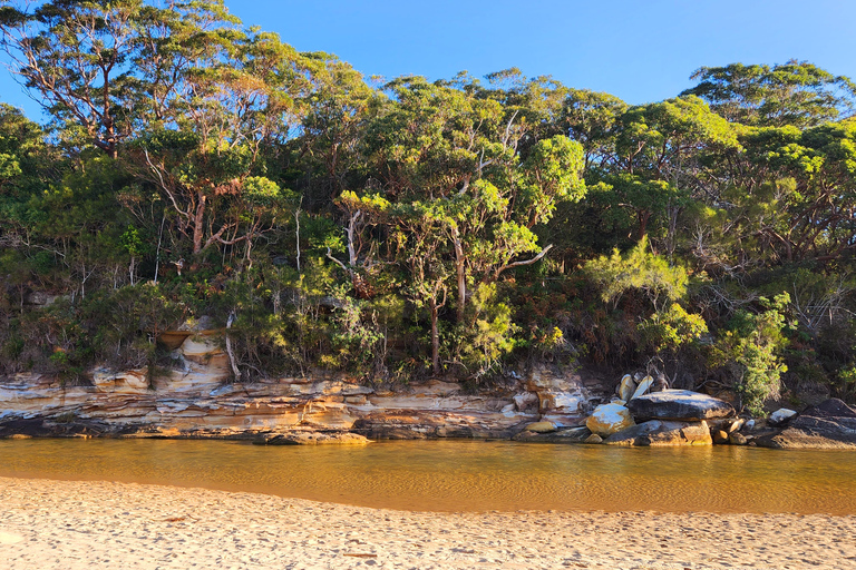 Från Sydney: Royal National Park, Wollongong och Kiama Tour